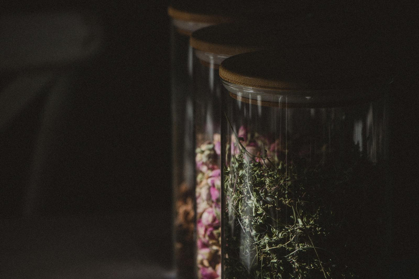 Glass jars filled with dried herbs and botanical ingredients in dark atmospheric lighting